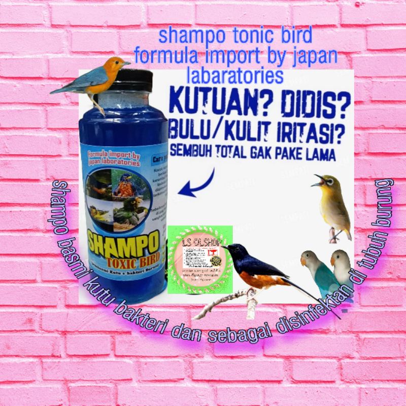 shampo tonic bird obat mandi ayam burung plus tonic bulu burung murai kacer kenari perkutut lovebird semua burung mengkilap teratur