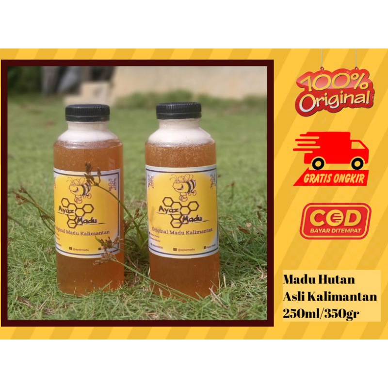 

Madu Wanyi Hutan Liar Asli Kalimantan murni 100% Apis Dorsata 250ml