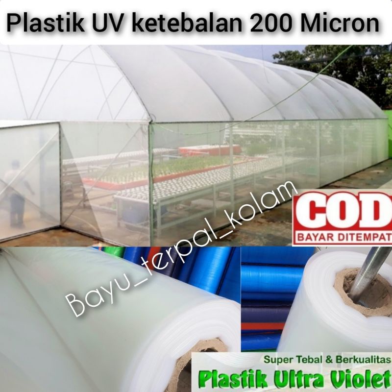 PLASTIK UV LEBAR 4 METER KETEBALAN 200 MICRON BISA BUAT KOLAM IKAN