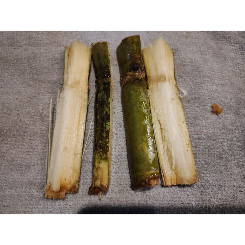 PAKAN KELOMANG // TEBU ( PAKAN KELOMANG) // MAKANAN KELOMANG // MAKANAN HERMIT CRAB// MAKANAN KEPITI