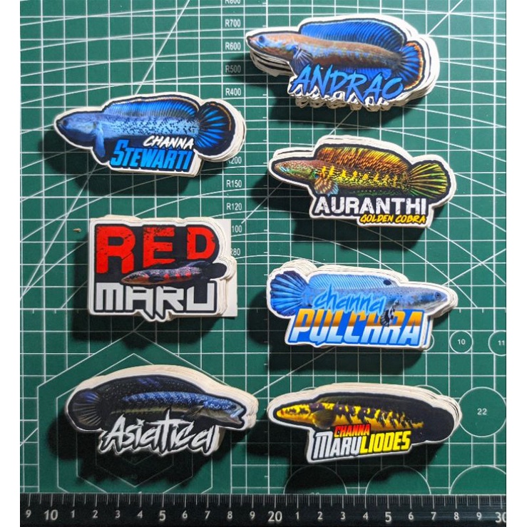 

STIKER CHANNA PACK GROSIR BALI