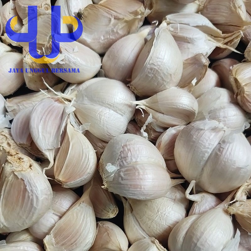 

Bawang Putih Kating Bersih 500 GR
