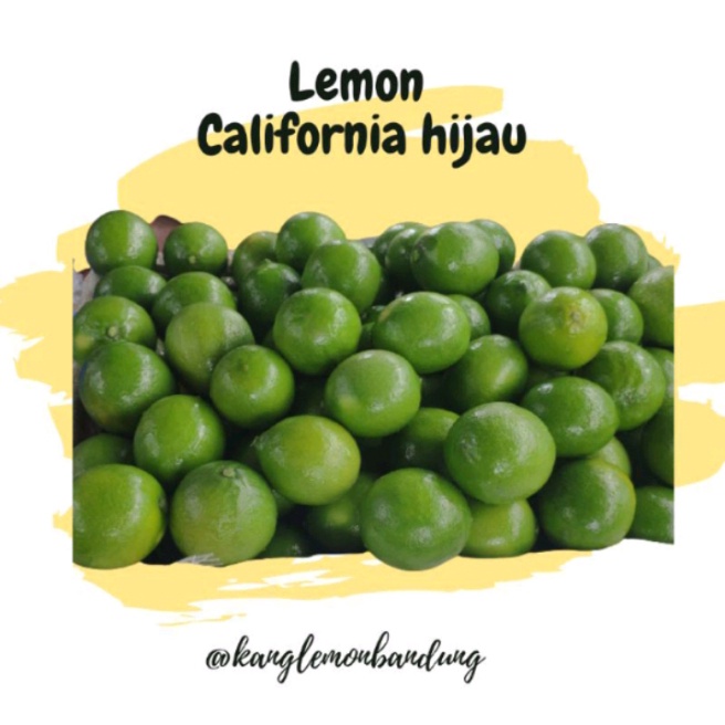 

LEMON CALIFORNIA HIJAU 1 KG
