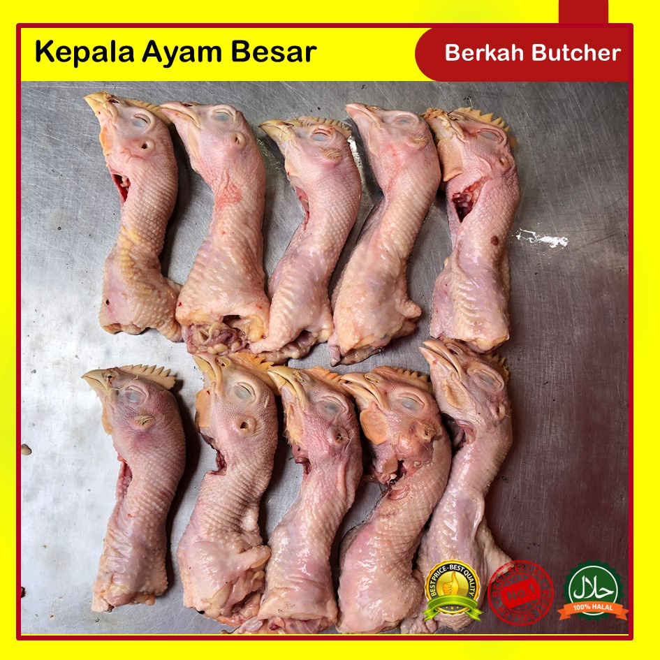 

Kepala Ayam Besar - Berkah Butcher