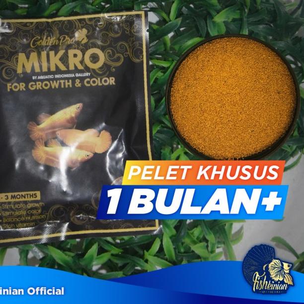 PELET IKAN CUPANG BETTA FISH - MIKRO UNTUK LUBUKAN