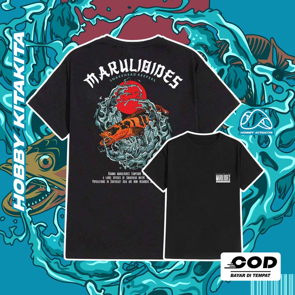 HBKT Kaos Channa MARULIOIDES Red Emperor - Yellow Sentarum Snakehead Keepers | Hobbykitakita