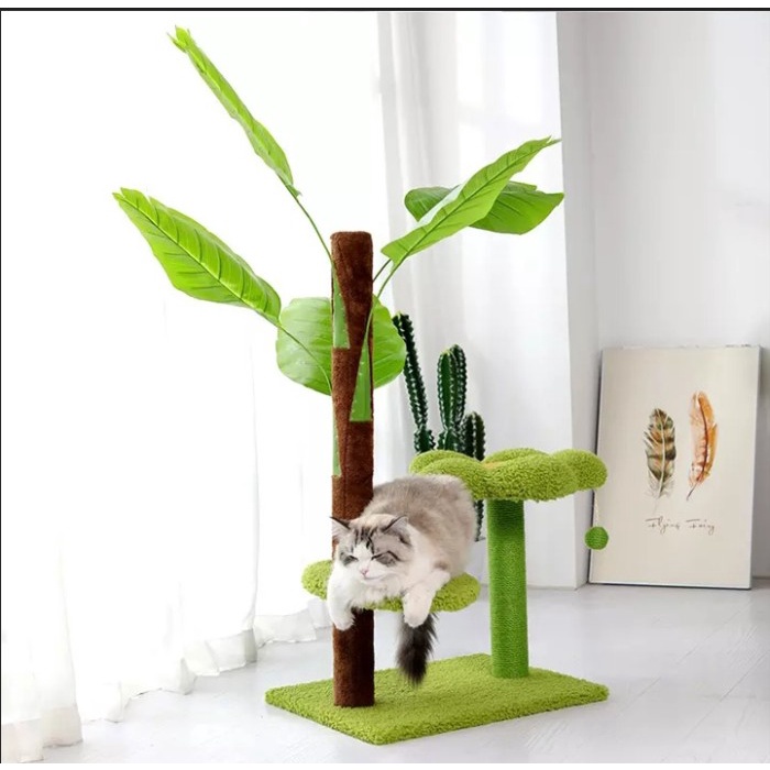 Cat Scratching Banana Tree / Garukan Kucing Pohon Pisang