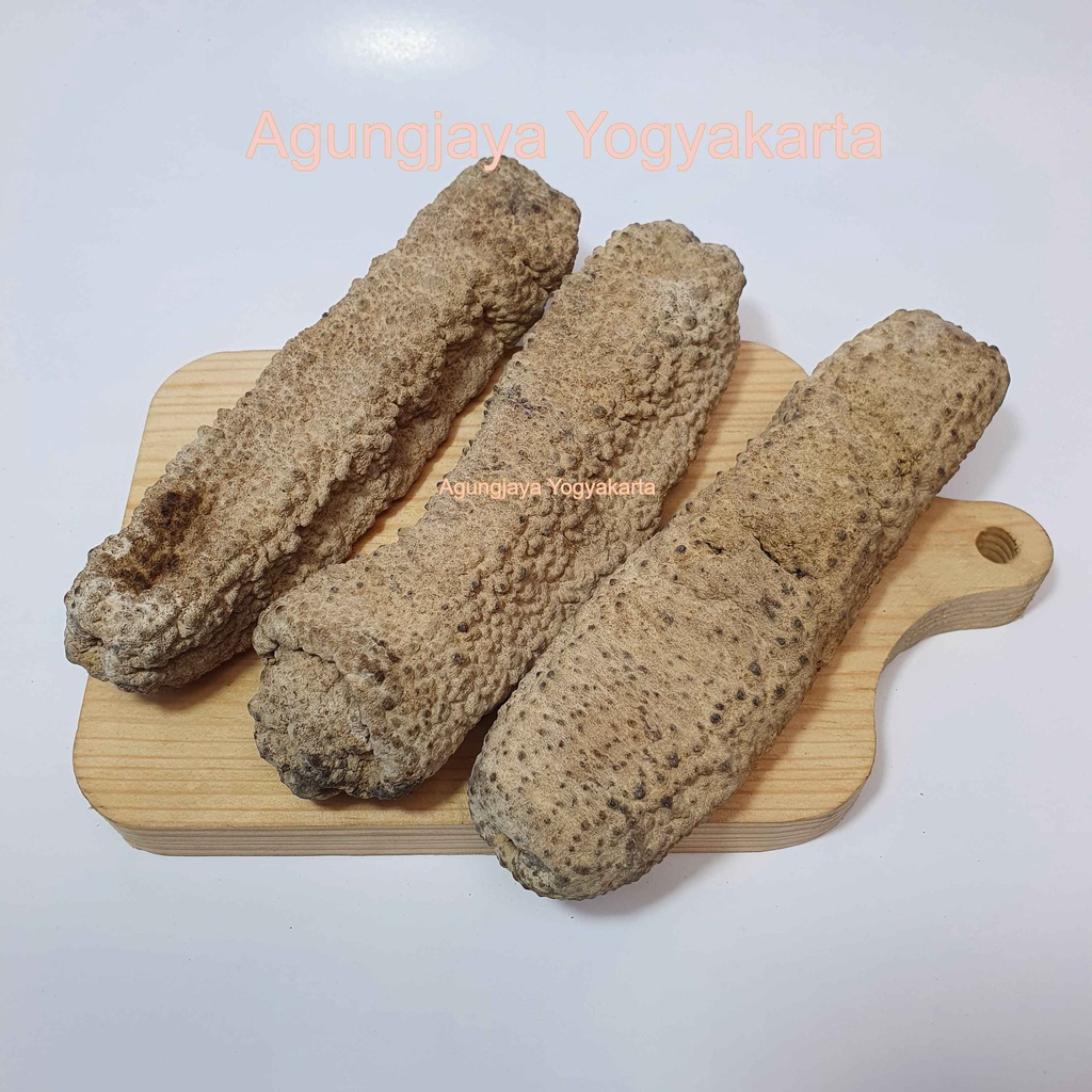 

Teripang Gamad Besar / Timun Laut / Hoisom / Sea Cucumber