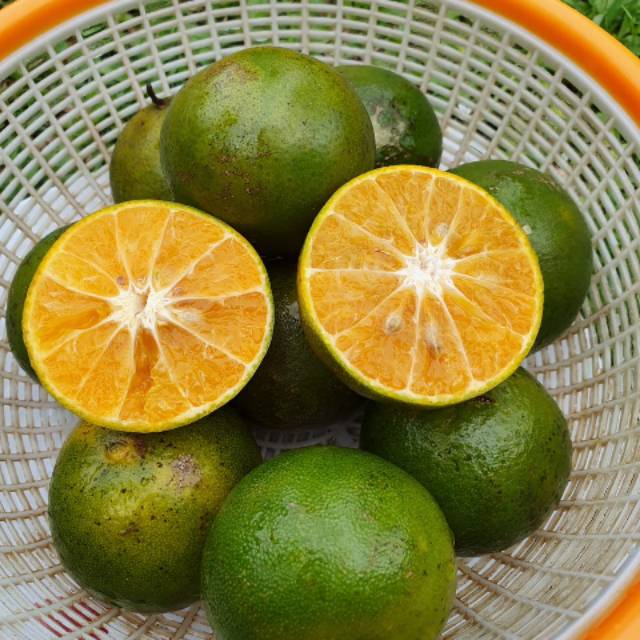 

Jeruk Peras Manis Fresh 1kg