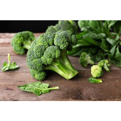 10 Benih Brokoli Hijau Green Magic SAKATA Kualitas Unggul
