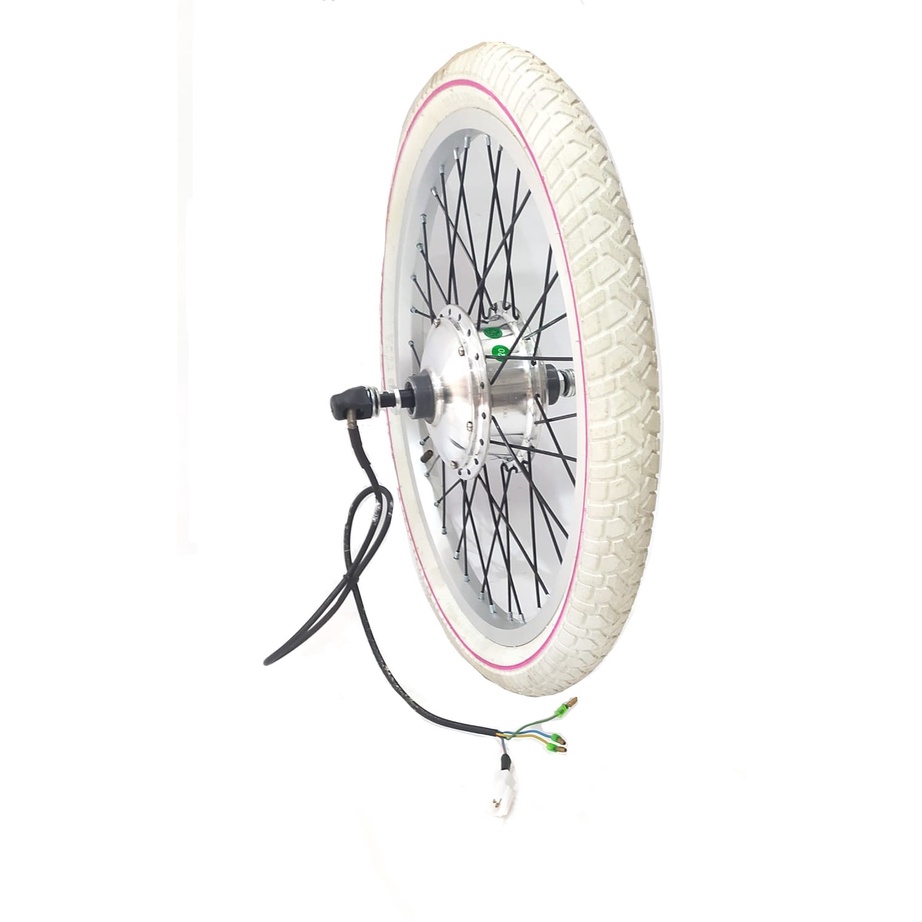 Electric Wheel Set Modification 48V With Wheel 20 Inch (7170)