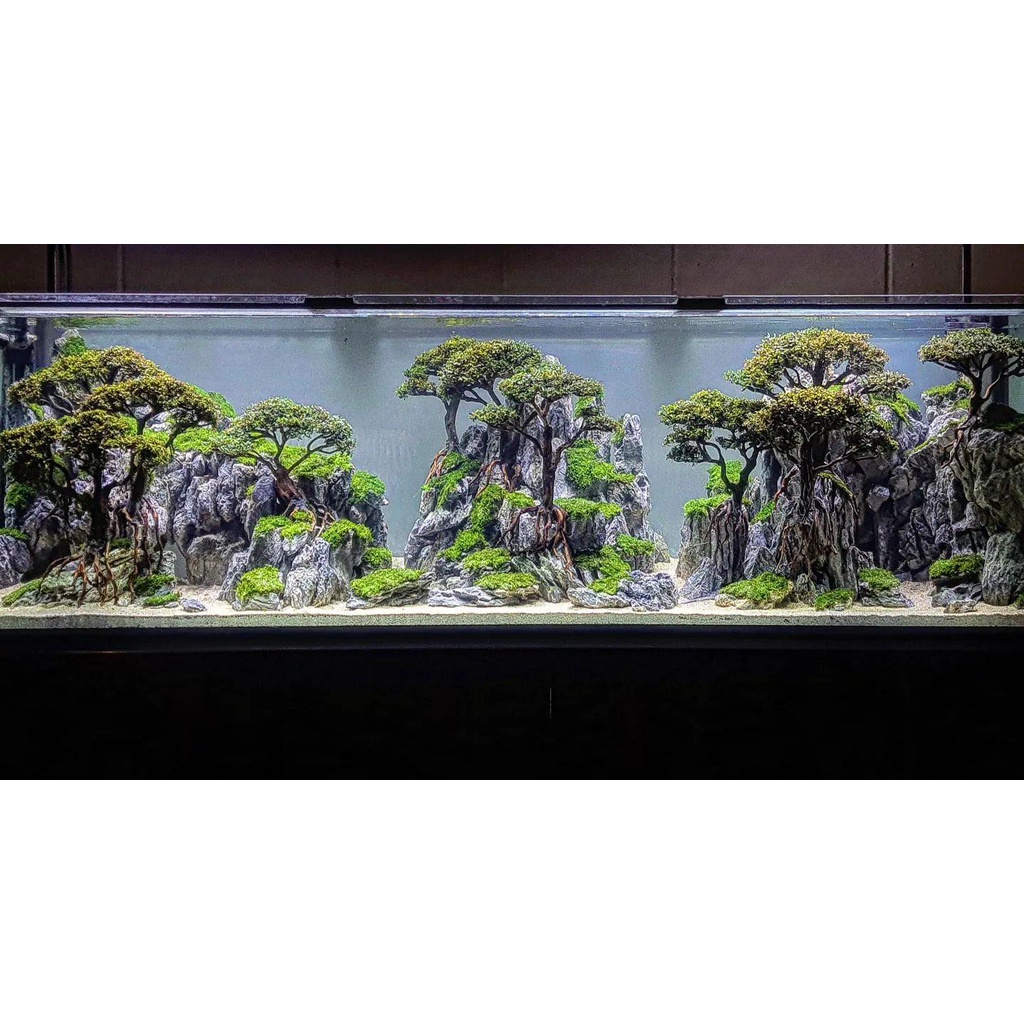 Nickz aquascape dekorasi fullset natural bonsai 270 cm