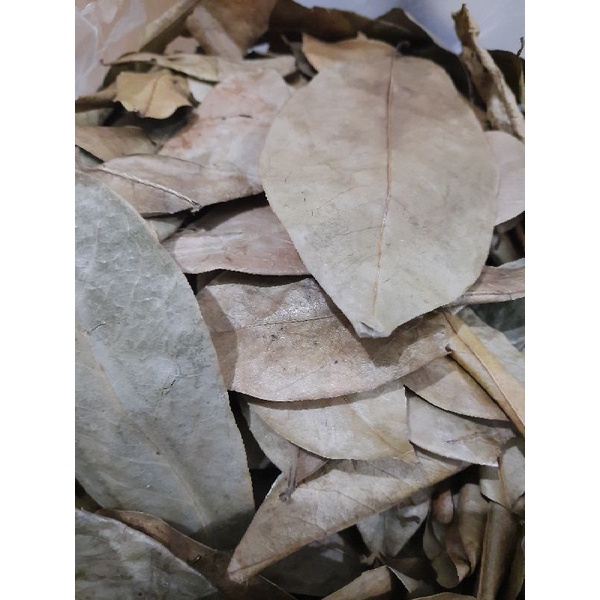 

Daun Sirsak Kering / Teh Daun Sirsak Jamuanrempah