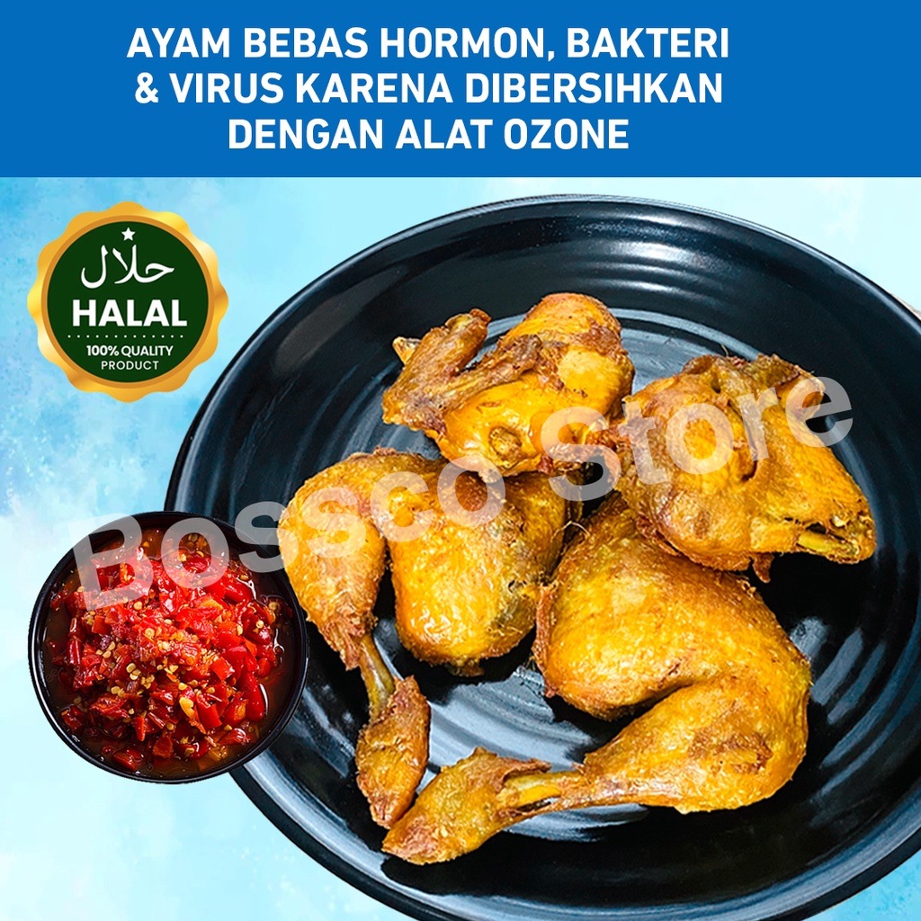 Ayam Bumbu Kuning Empuk Siap Goreng (gurih) 1 ekor + Sambal ( ayam ungkep bumbu kuning ayam kuning ungkep ayam goreng kuning ayam kuning frozen ayam frozen