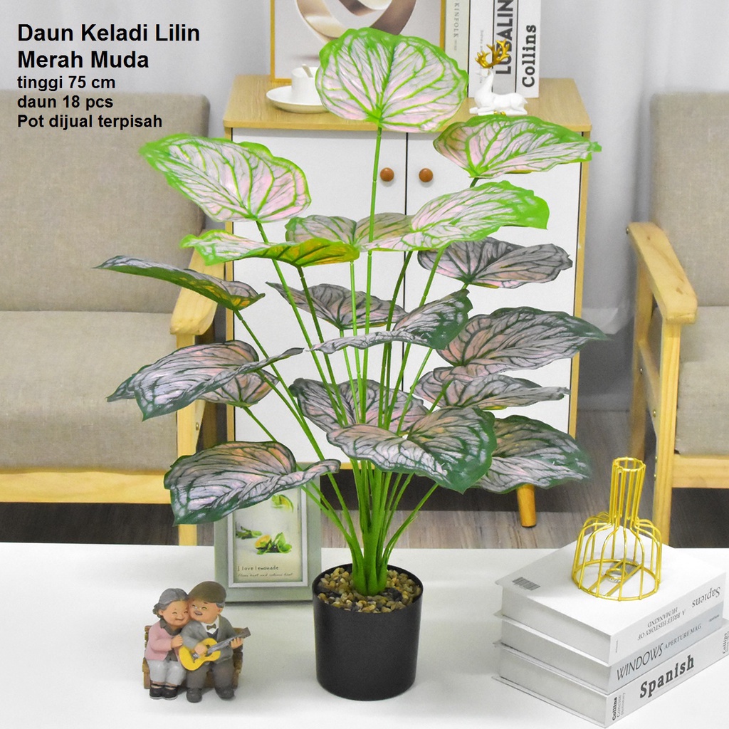 Daun Talas Pegas / Daun Keladi / Daun Monstera x18