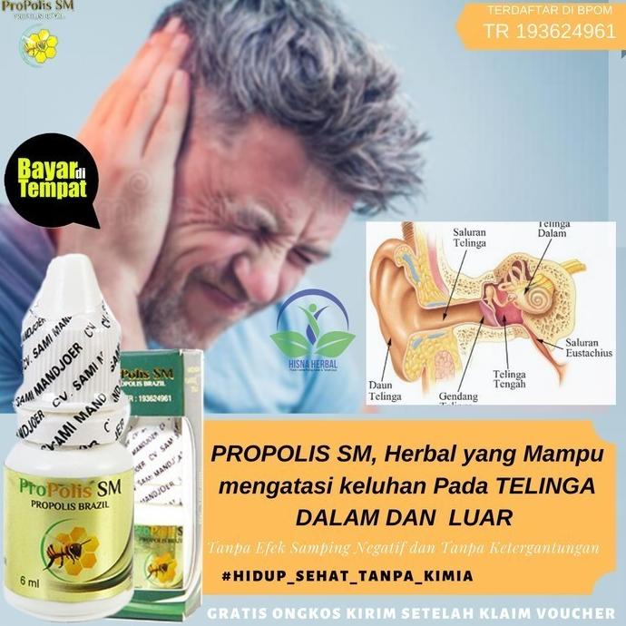 

Discount OBAT MENGHANCURKAN KOTORAN TELINGA KERAS, PENGHANCUR TAHI TAI KUPING /OBAT TELINGA BERDENGUNG/OBAT TELINGA BERAIR/OBAT TELINGA TERSUMBAT/OBAT TELINGA BUDEG/OBAT TELINGA BERNANAH