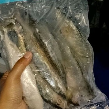 

ikan kembung banjar 1kg