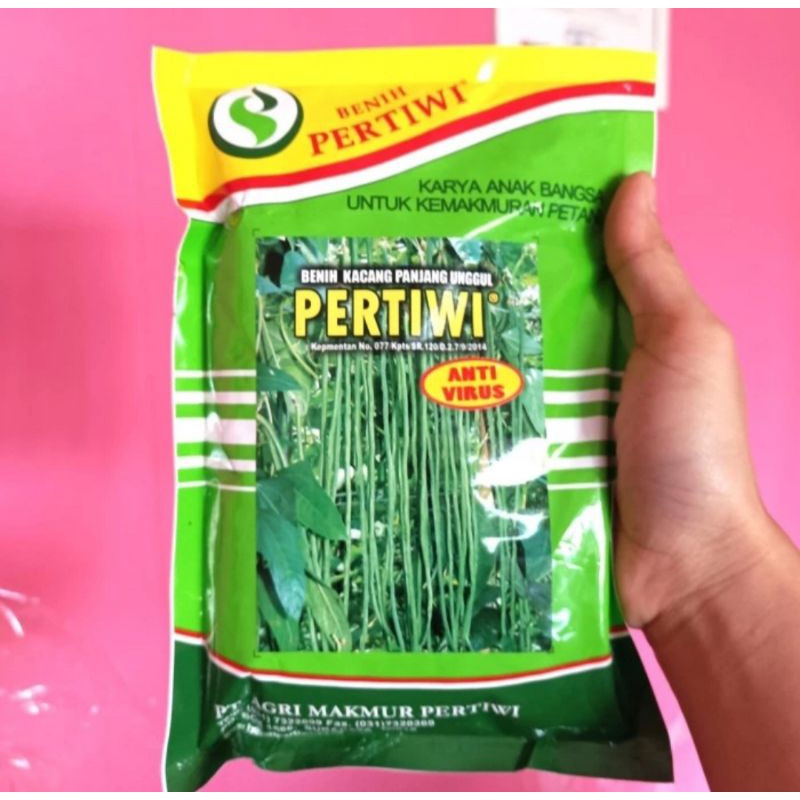 pertiwi 500gram benih bibit kacang panjang anti virus