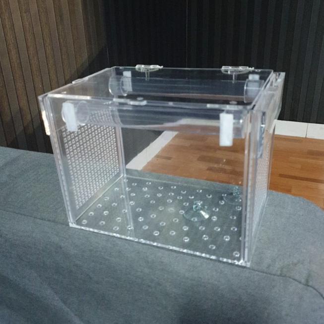 Box kotak acrylic akrilik karantina / aklimasi ikan P 23 L 13 T 15
