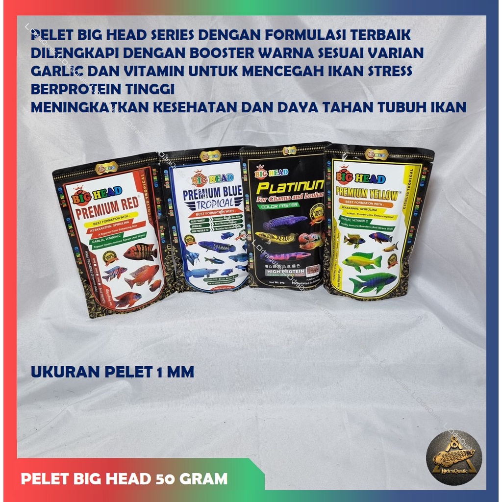 PELET BIG HEAD 50 GRAM PELET PROTEIN TINGGI SPESIAL BOOSTER WARNA CHANNA  PELET LOUHAN ANTI STRESS PELET PREDATOR PELET PREMIUM YELLOW PREMIUM RED PREMIUM BLUE PELET BIG HEAD PLATINUM BOOSTER WARNA IKAN PELET CUPANG GUPPY CICHLID LOUHAN CHANNA ARWANA