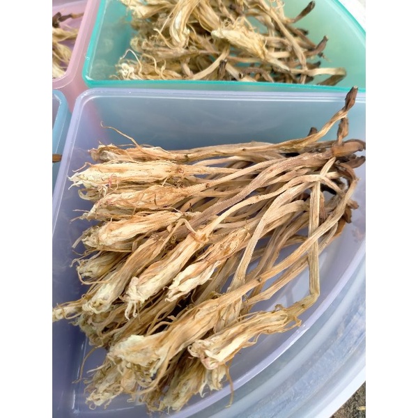 

Bunga kering Wijaya Kusuma untuk minuman herbal