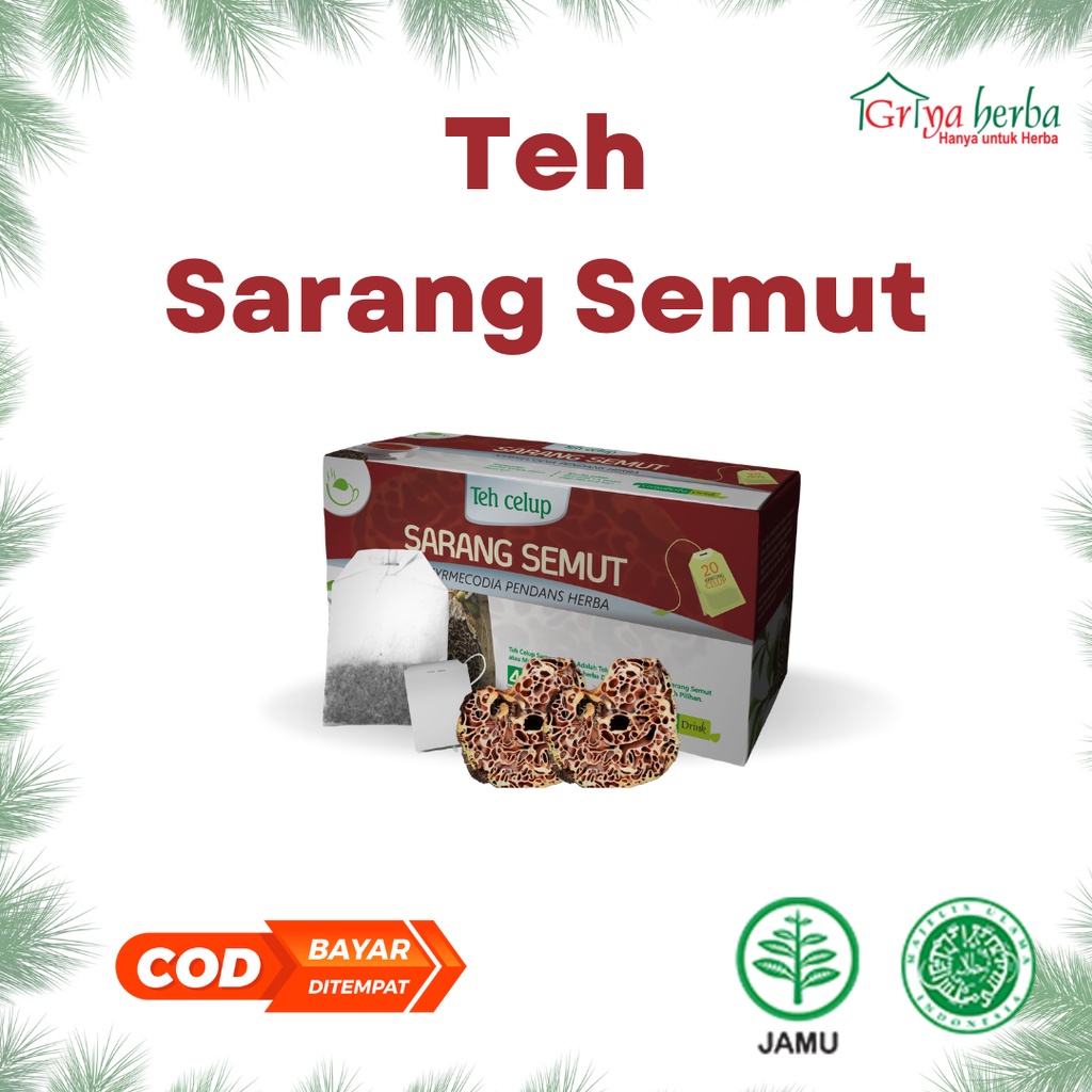 

Teh Sarang Semut Griya Herba Obat Herbal Kanker Halal Minuman Anti Kanker dan Obat Kanker Teh Herbal SARANG SEMUT PAPUA isi 20 Kantung Dan Sudah BPOM