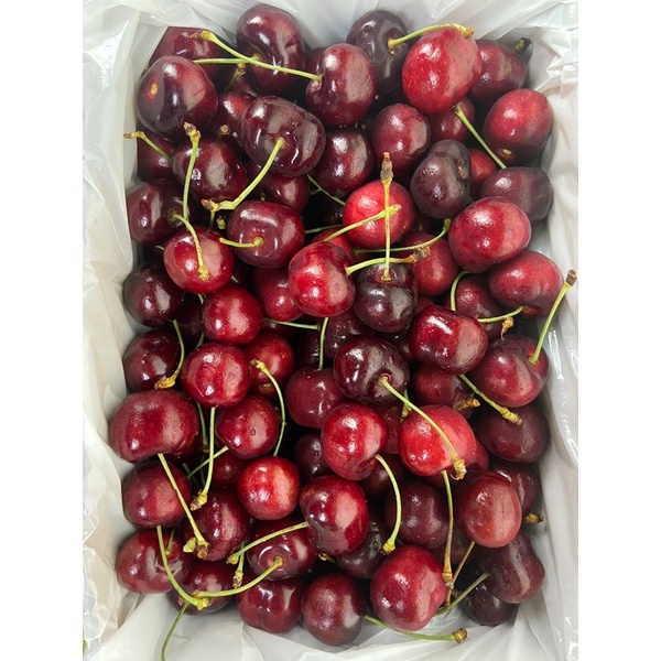 

Ceri Merah Import Super | Cherry Merah 1 KG