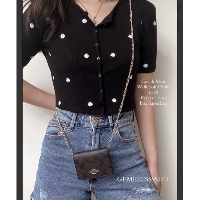 CC Mini Wallet on Chain