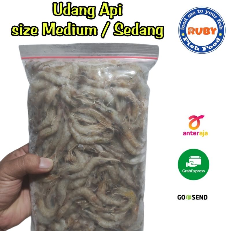 

UDANG API MEDIUM / UDANG API BEKU BERSIH DAN FRESH / UDANG API MURAH