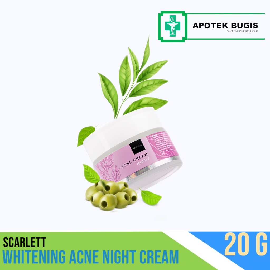 Scarlett Whitening Acne Night Cream Size 20gram Memutihkan Jerawat Malam