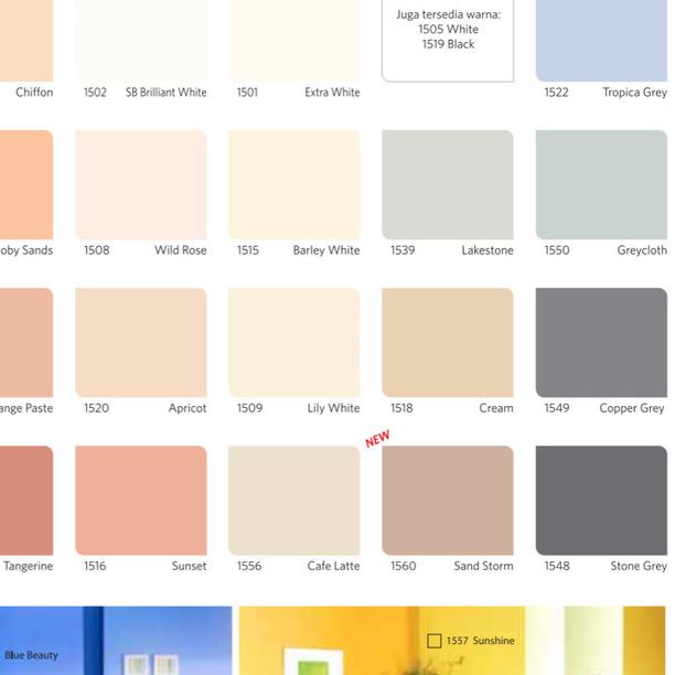 QLUC 5kg nippon paint