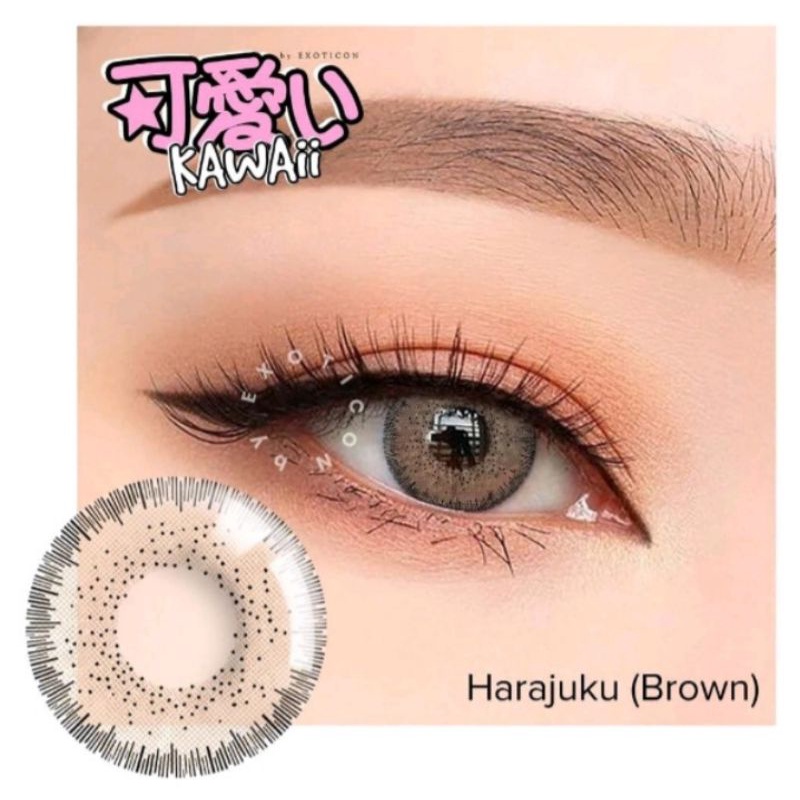 (NORMAL) SOFTLENS KAWAI HARAJUKU BROWN