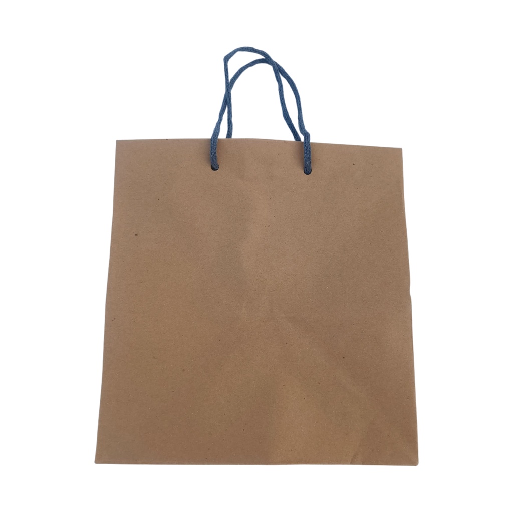 Paper Bag Polos Craft Uk 22x21x25 R10K [ECERAN] Kotak Nasi GOODIE BAG paperbag murah / Tas Kertas kotak nasi