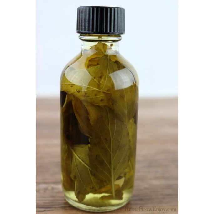 

Homemade Mint Extract 50 ml Ekstrak Daun Mint