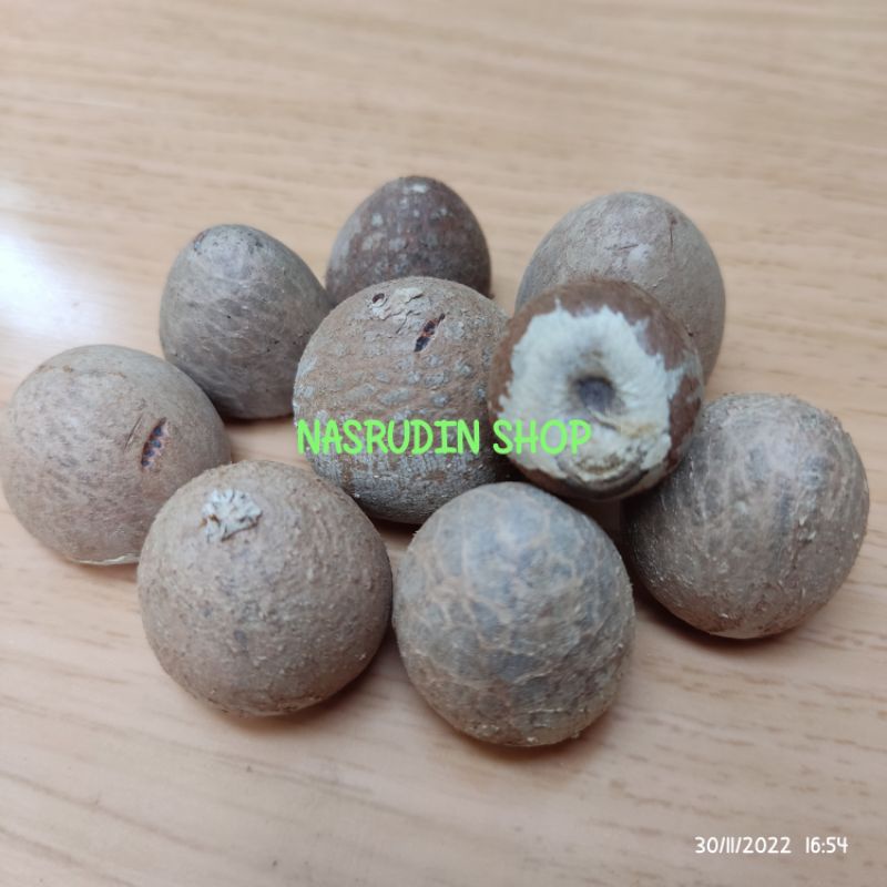 

[Fresh] BIJI PINANG 1KG BIJI BUAH PINANG KUPAS BIJI PINANG KERING BIJI PINANG KUPAS UTUH