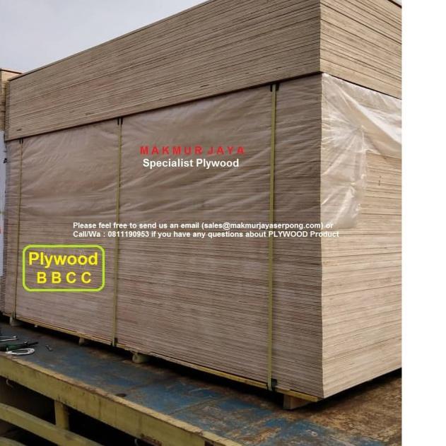 Triplek / Plywood / Multiplek BBCC 12mm
