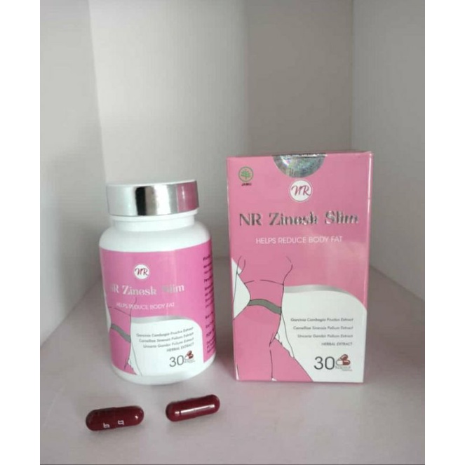 BPOM PELANGSING HERBAL ZINESK NR OBAT DIET ALAMI AMPUH TURUNKAN BB (BUSUI)