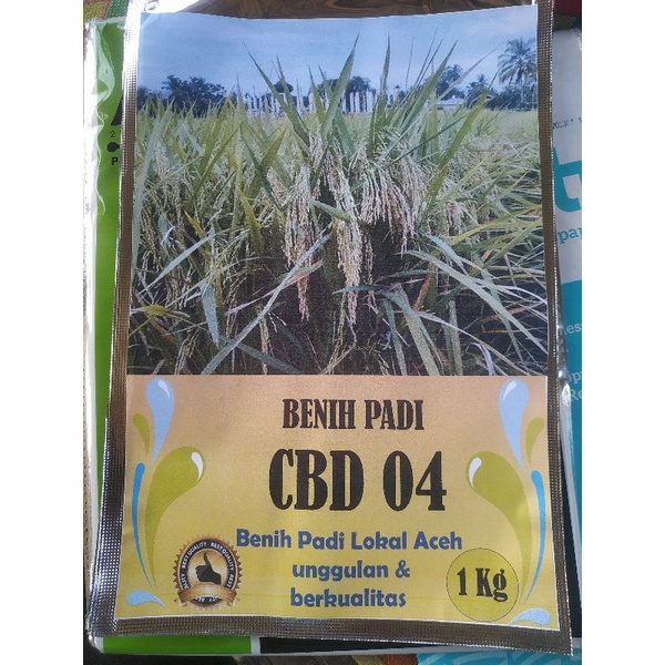Benih padi CBD 04 premium 1kg