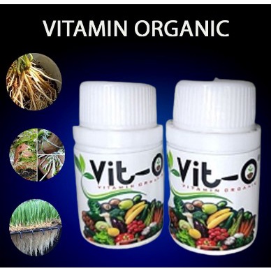 Vitamin Nutrisi Tanaman VIT-O Termurah