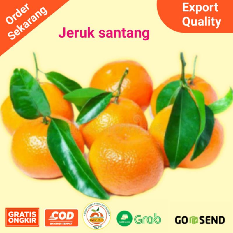 

JERUK SANTANG DAUN