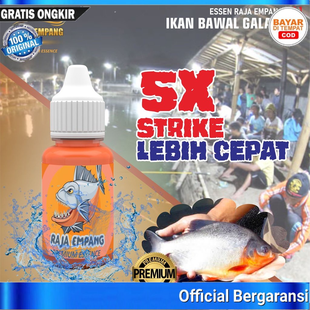 Essen Raja Empang Ikan bawal gacor harian | essen galatama bawal | esen bawal galatama | esen ikan b