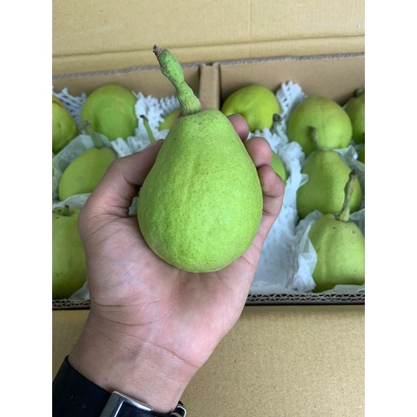 

pear xiang lie HDL premium 6.5 kg | dus