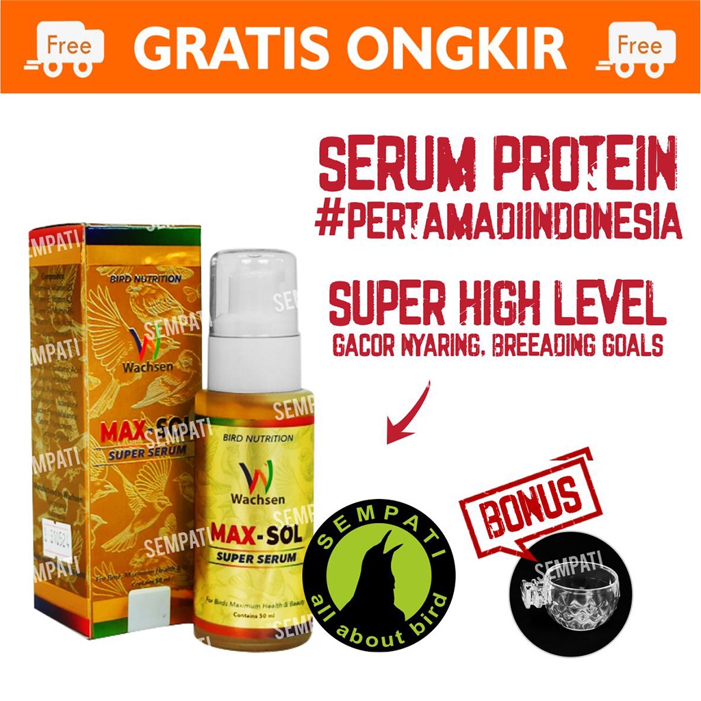 Max-Sol Max Sol Super Serum Vitamin Burung Murai Batu Pleci Lovebird Kenari Cucak Ijo Jalak Kacer Suplemen Protein Tinggi Nutrisi Wachsen Multivitamin Bird Nutrition