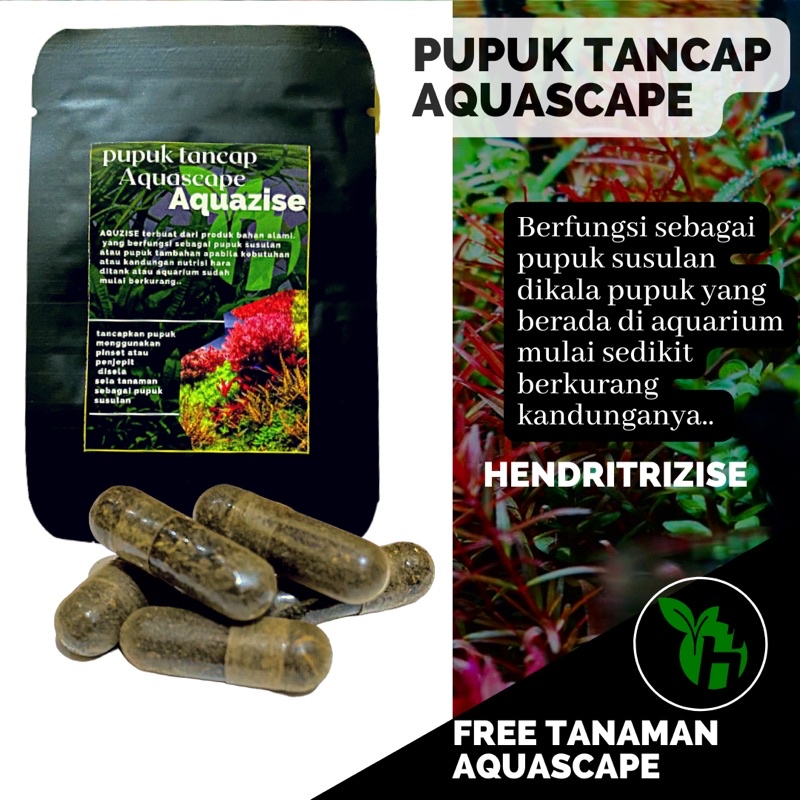 Pupuk Tancap – Mana yang Terbaik untuk Aquascape Anda?