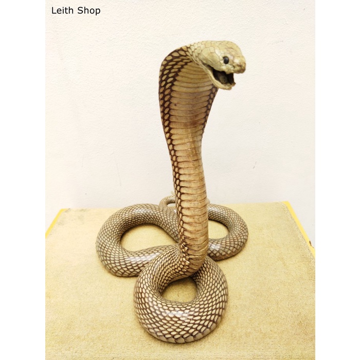 populer] Patung Ular Kobra Statue Snake King Cobra Awetan Antik Vintage Antique