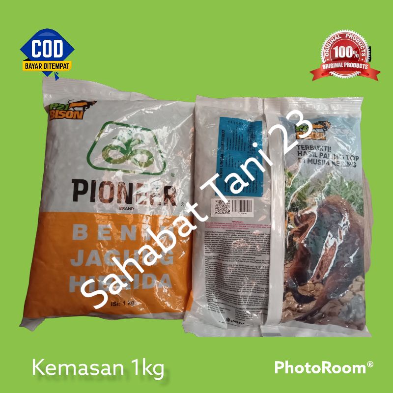 Bibit jagung hibrida pioner p21 kemasan 1kg