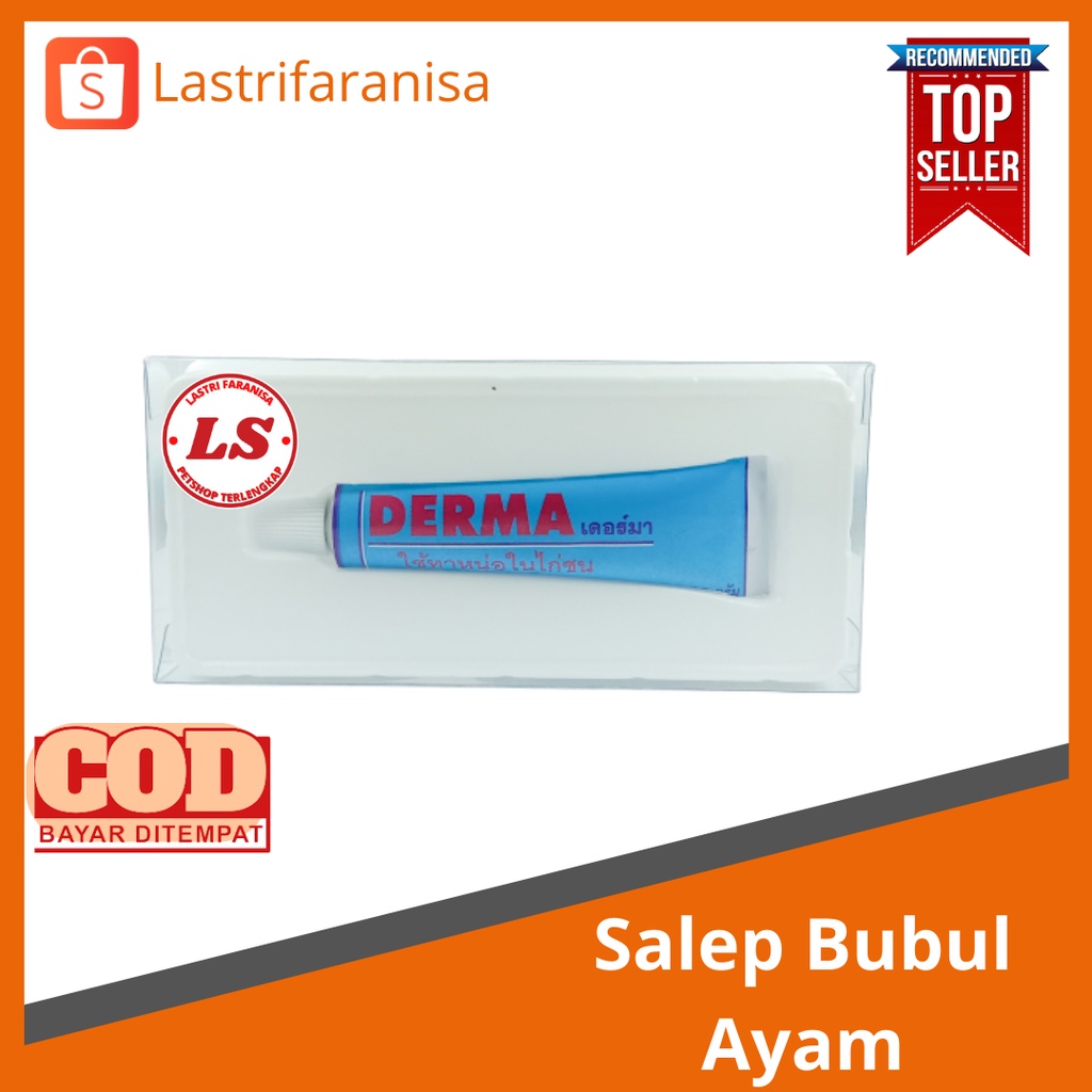 derma salep bubul ayam obat bubul gantung (dugal )