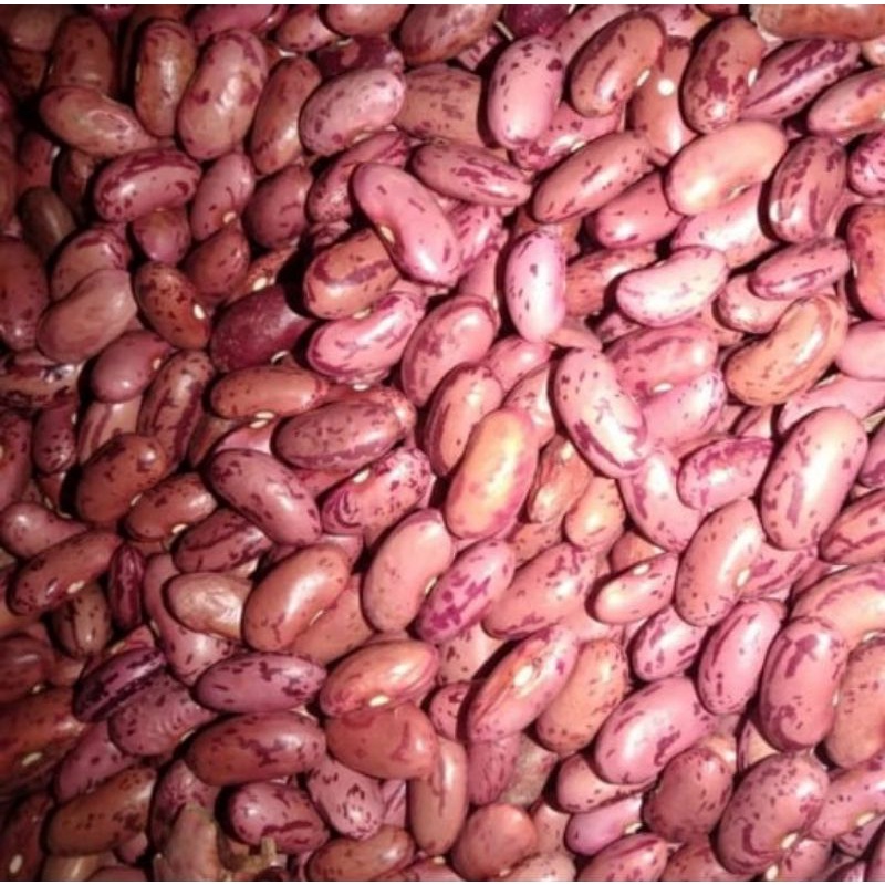 

kacang merah/brenebon/red Bean 1kg