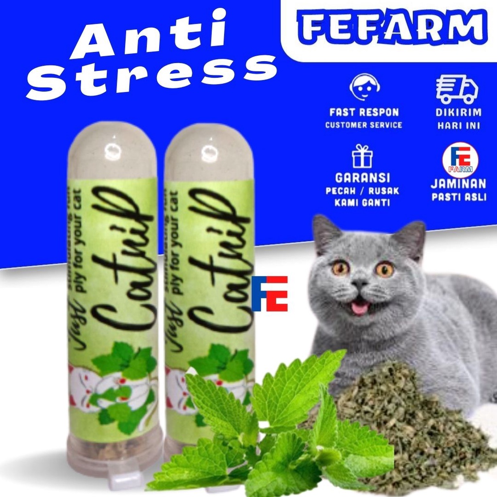 CATNIP POWDER CAT MINT TABUNG UNTUK KUCING FEFARM