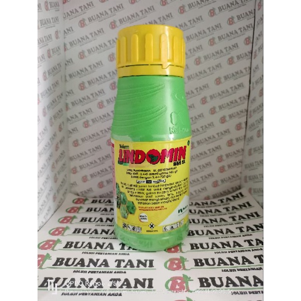 LINDOMIN 200ml#HERBISIDA#OBAT RUMPUT PADI